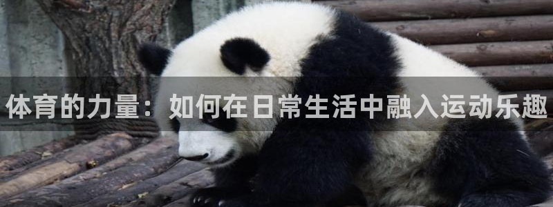 3377体育官网下载注册：体育的力量：如何在日常生活