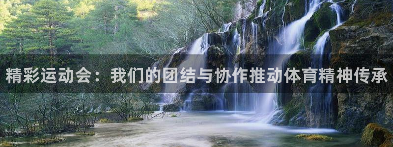 3377体育官方正版app娱乐下载：精彩运动会：我们