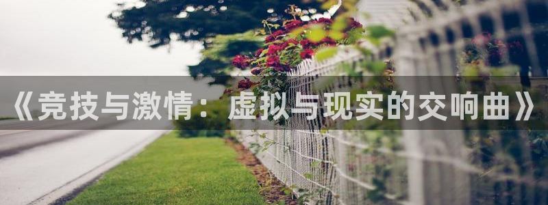 3377体育官网下载招商电话号码是多少啊：《竞技与激