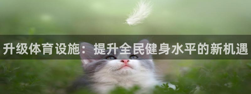 3377体育官网下载招商电话号码是多少号：升级体育设