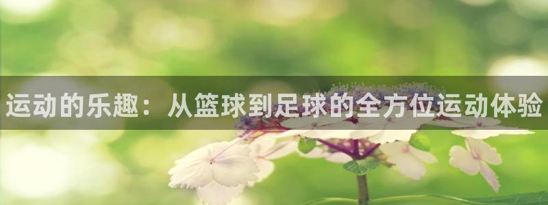3377体育官方正版app集团官网首页