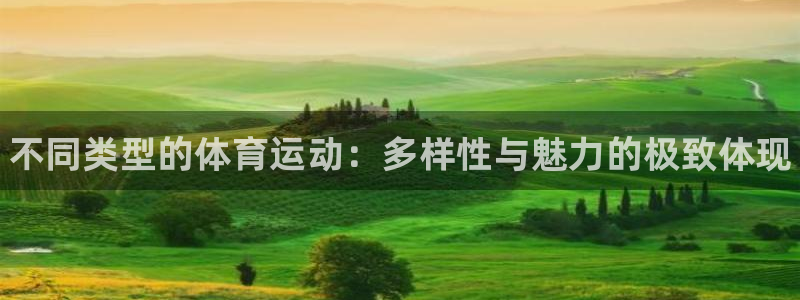 海南3377体育官网下载：不同类型的体育运动：多样性