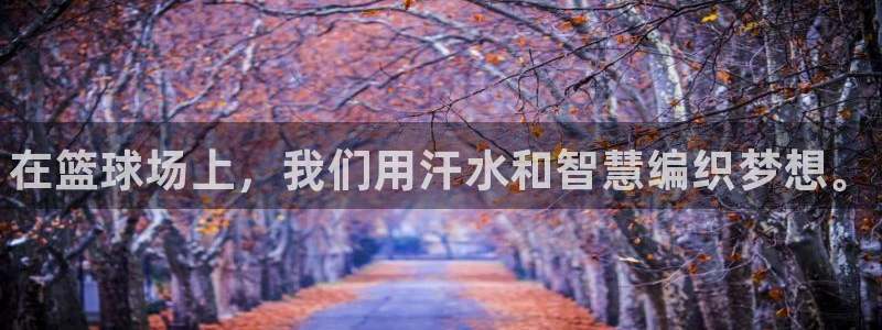 3377体育官网下载平台假的吗是真的吗：在篮球场上，我们用汗