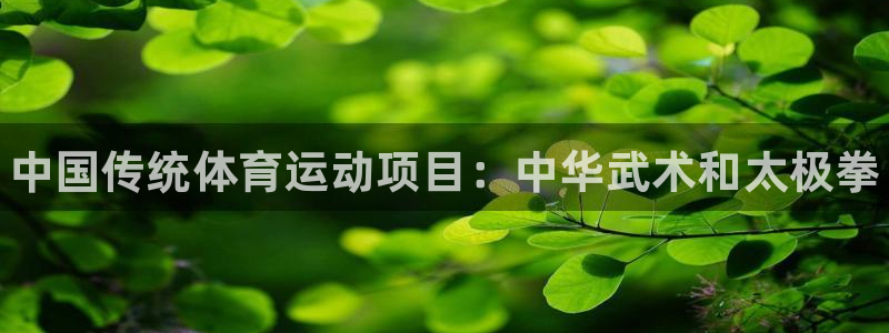 3377体育官网下载平台：中国传统体育运动项目：中华武术和太