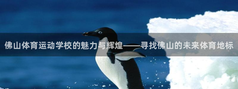 3377体育官网下载平台APP：佛山体育运动学校的魅力与辉煌