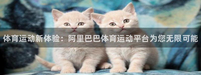3377体育官网下载平台注册要钱吗：体育运动新体验：阿里巴巴