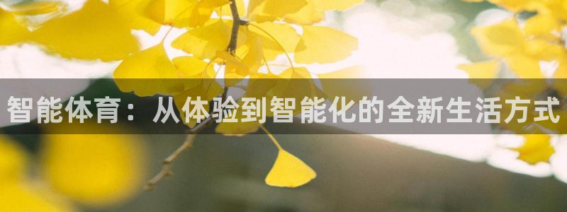 3377体育官方正版app官方：智能体育：从体验到智能化的全