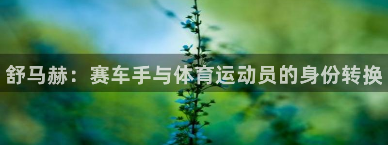 3377体育官网下载平台是正规平台吗：舒马赫：赛车手与体育运