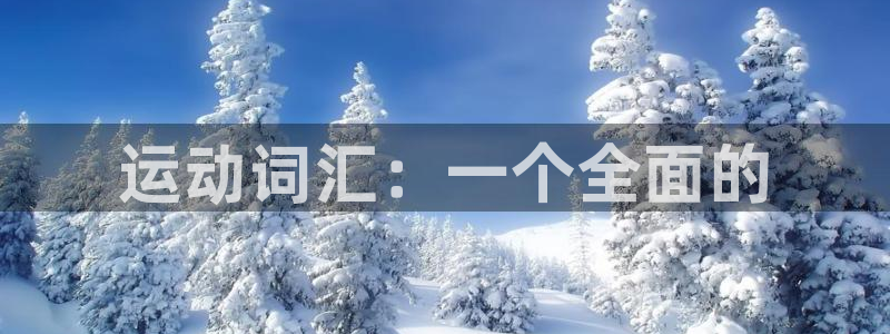 3377体育官网下载招商电话号码查询：运动词汇：一个