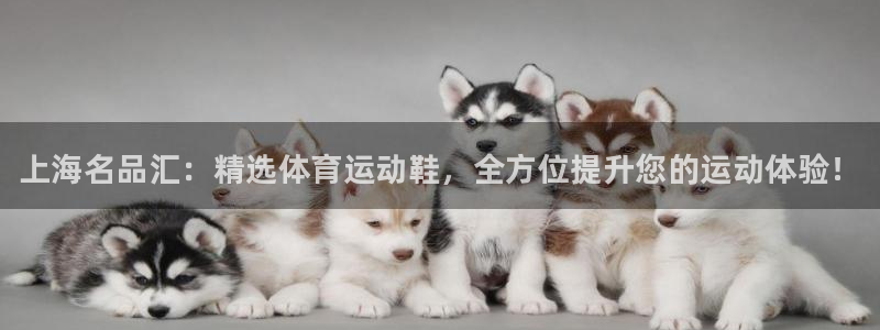 3377体育官方正版app娱乐是那个系列的台子：上海名品汇：