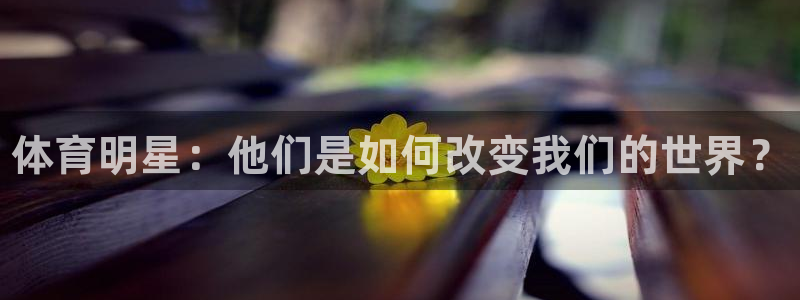 3377体育官网下载招商电话