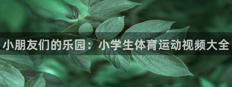 3377体育官网下载平台假的吗是真的吗