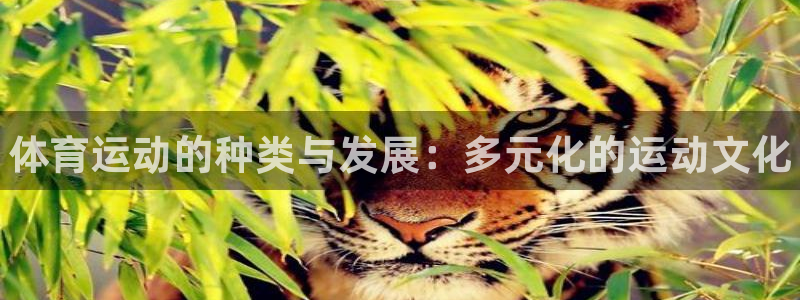 3377体育官方正版app娱乐首页官网下载