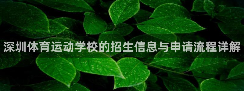 3377体育官网下载平台假的吗是真的吗吗：深圳体育运动学校的