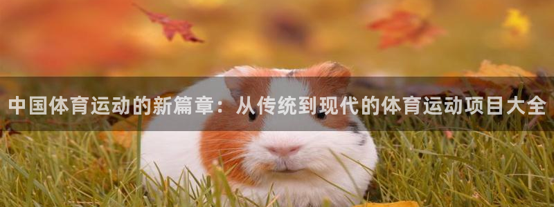 3377体育官网下载招商电话地址是多少