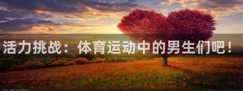 3377体育官方正版app娱乐首页网站大全
