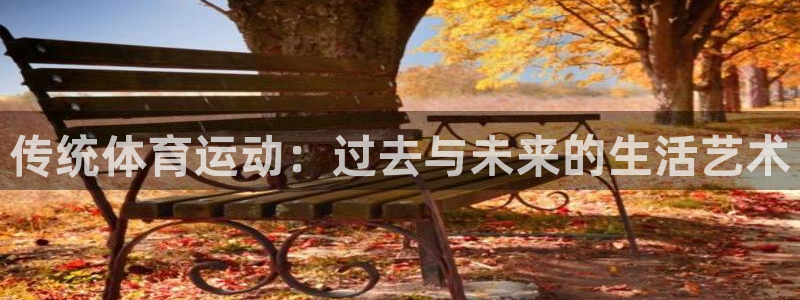 海南3377体育官网下载：传统体育运动：过去与未来的生活艺术