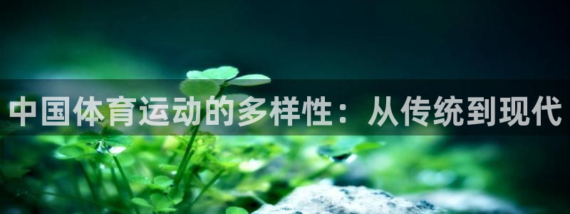 3377体育官网下载招商：中国体育运动的多样性：从传统到现代