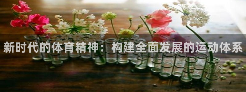 3377体育官方正版app集团E.ON：新时代的体育