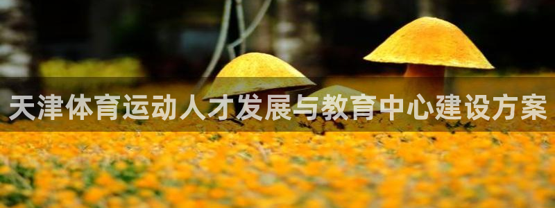 3377体育官网下载平台注册：天津体育运动人才发展与