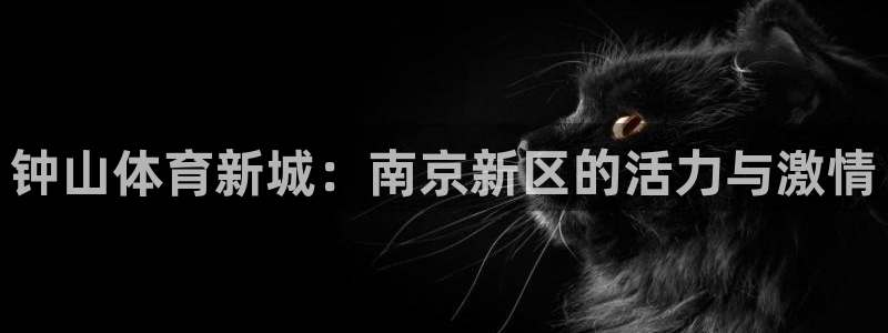 3377体育官方正版app开户：钟山体育新城：南京新区的活力