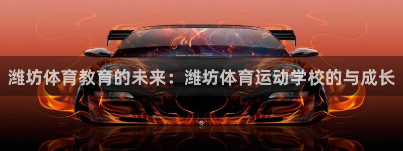3377体育官网下载开户：潍坊体育教育的未来：潍坊体