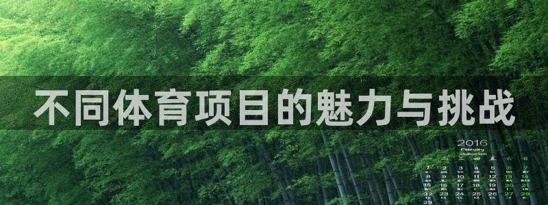 3377体育官网下载平台：不同体育项目的魅力与挑战