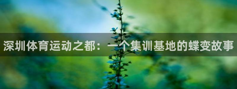 3377体育官网下载平台注册流程视频：深圳体育运动之