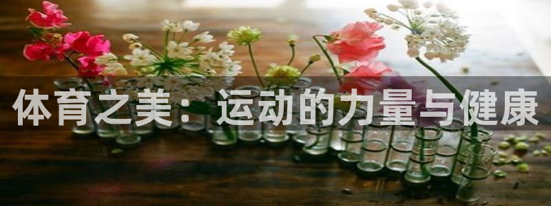 3377体育官方正版app代理：体育之美：运动的力量
