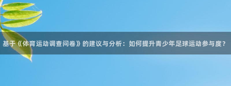 3377体育官方正版app新能源：基于《体育运动调查问卷》的