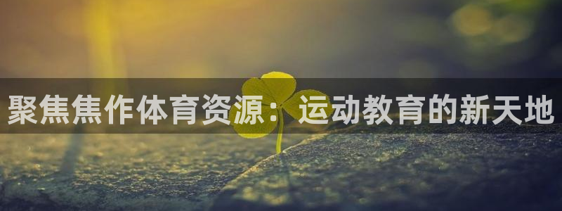 3377体育官方正版app开户：聚焦焦作体育资源：运动教育的