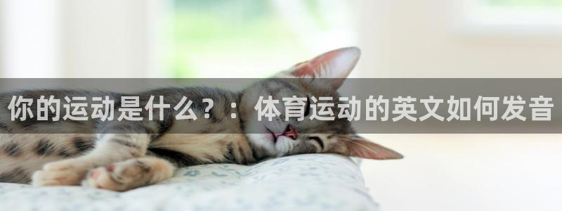 3377体育官网下载招商电话地址