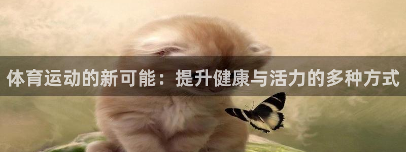 德国3377体育官方正版app集团：体育运动的新可能：提升健