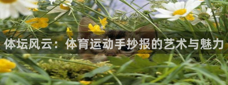 注册3377体育官方正版app：体坛风云：体育运动手抄报的艺