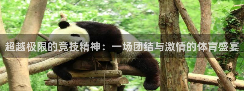 3377体育官方正版app神州