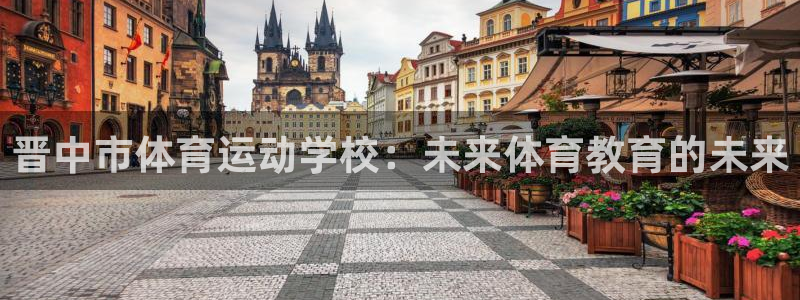 3377体育官方正版app代理：晋中市体育运动学校：未来体育