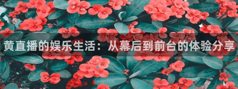 免费看咪咕直播：黄直播的娱乐生活：从幕后到前台的体验分享